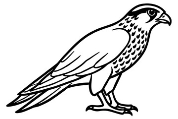 Falcon vector illustration line art and white background