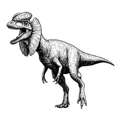 Fototapeta premium Dilophosaurus Full Body Shot Prehistoric Dinosaur Creature Black and White Outline Line Art Drawing Vintage Illustration