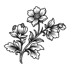 Decorative Floral Branch Retro Ornament Black and White Outline Line Art Drawing