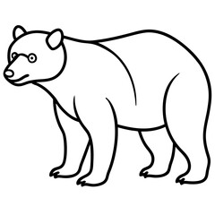 Elegant Sun Bear Minimal Line Drawing