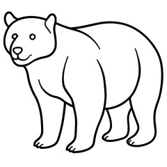 Elegant Sun Bear Minimal Line Drawing