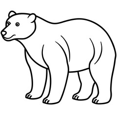 Elegant Sun Bear Minimal Line Drawing