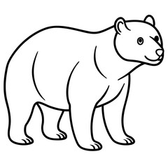 Elegant Sun Bear Minimal Line Drawing