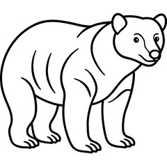 Elegant Sun Bear Minimal Line Drawing