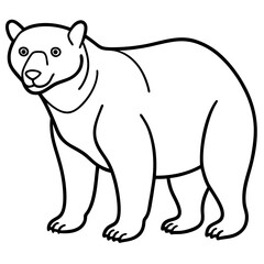 Elegant Sun Bear Minimal Line Drawing