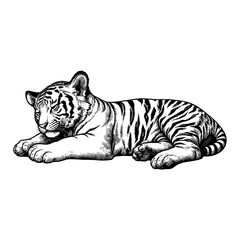 Fototapeta premium Sleeping Lying Tiger Cub Resting Full Body View Black and White Outline Line Art Drawing Engraving Style