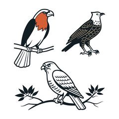 Obraz premium Set of 3 bird illustrations on branches