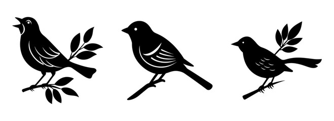 Fototapeta premium Silhouette set of graphic birds on branches vector illustration avian wildlife design art