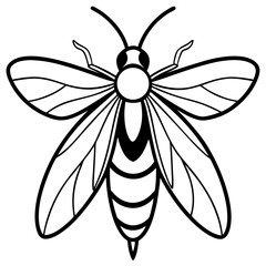 Firefly Outline Vector Illustration