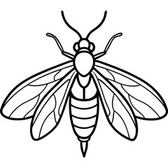 Firefly Outline Vector Illustration