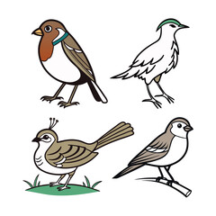 Charming Bird Illustrations Four Feathered Friends in Simple Line Art Style