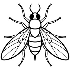 bee vector illustration
