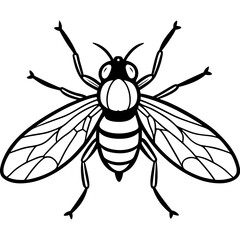 bee vector illustration