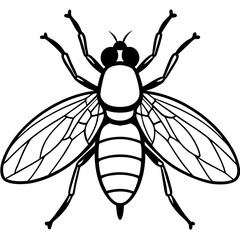bee vector illustration
