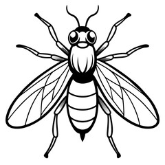 bee vector illustration