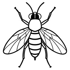 bee vector illustration