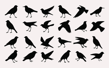 Minimalist Bird Silhouette Collection in Grid Layout on White Background.eps
