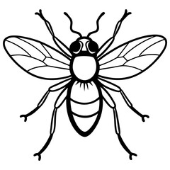 bee vector illustration