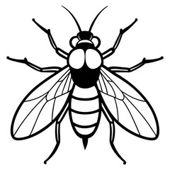 bee vector illustration