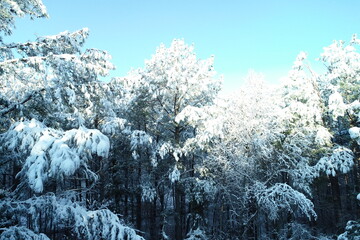Winter Wonderland North Carolina