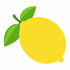 Simple Sweet Lemon Illustration