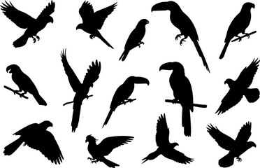Obraz premium Silhouettes of various tropical birds in flight and perched.