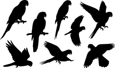 Obraz premium Flying birds silhouettes vector collection