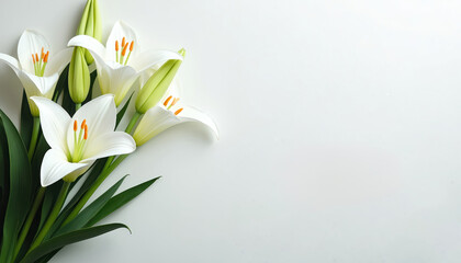 White lilies on white background perfect memorial service. Funeral flowers, elegance, symbolism, peace, serenity, calmness, grief, loss, sorrowful, remembrance, sympathy, comfort, honoring, peaceful
