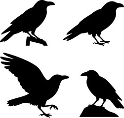 Obraz premium Collection of Silhouette Crows in Various Poses