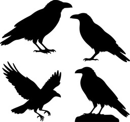 Obraz premium Collection of Silhouette Crows in Various Poses