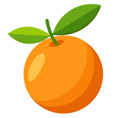 Kumquat Vector with White Background