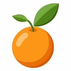 Kumquat Vector with White Background