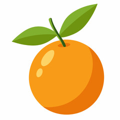 Kumquat Vector with White Background