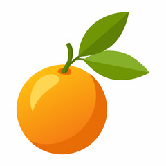 Kumquat Vector with White Background