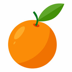 Kumquat Vector with White Background