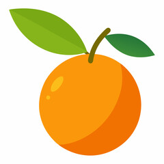 Kumquat Vector with White Background