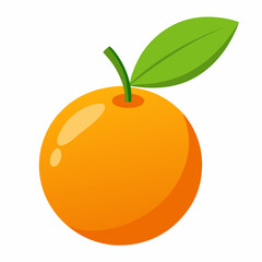 Kumquat Vector with White Background