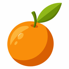 Kumquat Vector with White Background