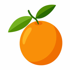 Kumquat Vector with White Background