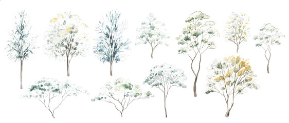 Vector illustration of set architectural trees for landscape design in a watercolor style, white background