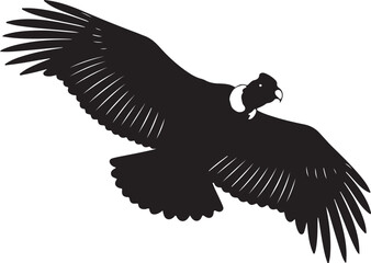 Andean Condor Vector Silhouette