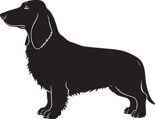 Basset Fauve de Bretagne Dog Vector Silhouette