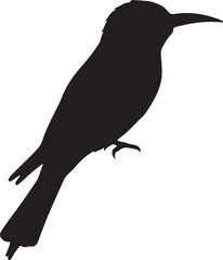 European Bee-Eater Vector Silhouette