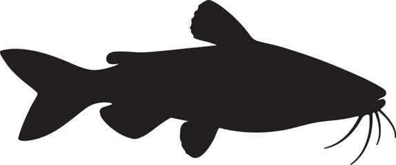 European Catfish Vector Silhouette