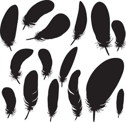 Feathers Vector Silhouette