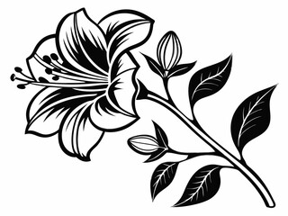 Elegant black and white lily flower illustration