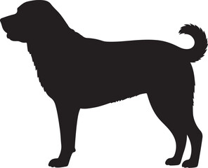 Anatolian Shepherd Dog – Solid Black Silhouette and Outline Vector Set