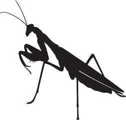 Ghost Mantis Vector Silhouette