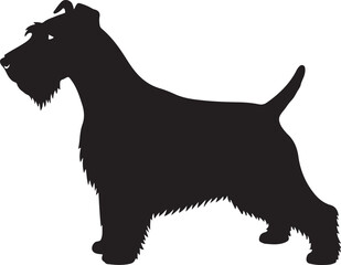 Glen of Imaal Terrier Vector Silhouette
