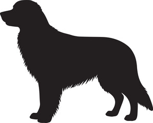Hovawart Vector Silhouette